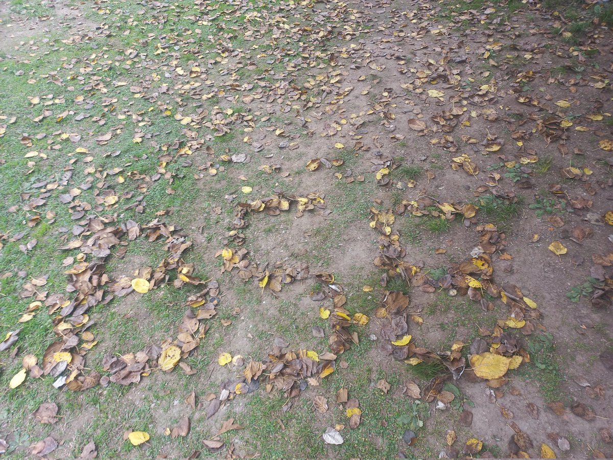 AnyDeak's tweet photo. Otoño en Argentina! @backstreetboys ❤️ https://t.co/i3TBXcSveW