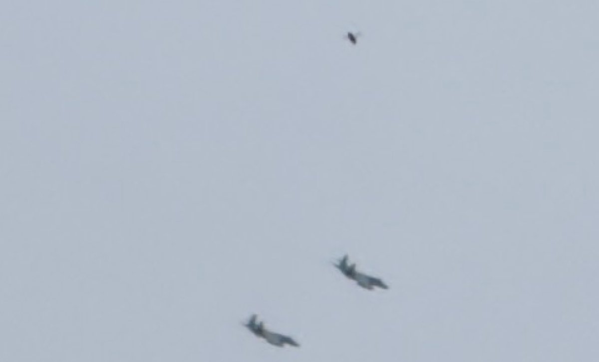 MickWest's tweet photo. Three jets with no ADS-B flew over my house. When I examined the photos, I saw a fourth object. Kinda stubby, like a black tic-tac with transparent wings.  

Were they chasing a UFO, or was it just a fly? Do your own research! https://t.co/liUsguiPK6