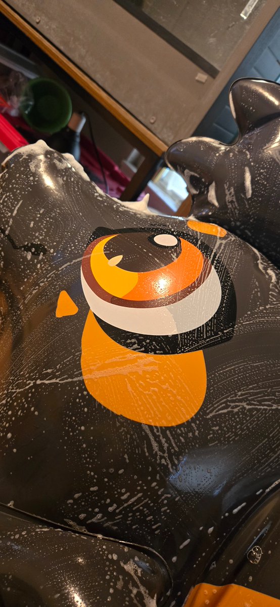 CinTheBat's tweet photo. Bath time before a trip https://t.co/0Qsk9ClYLQ