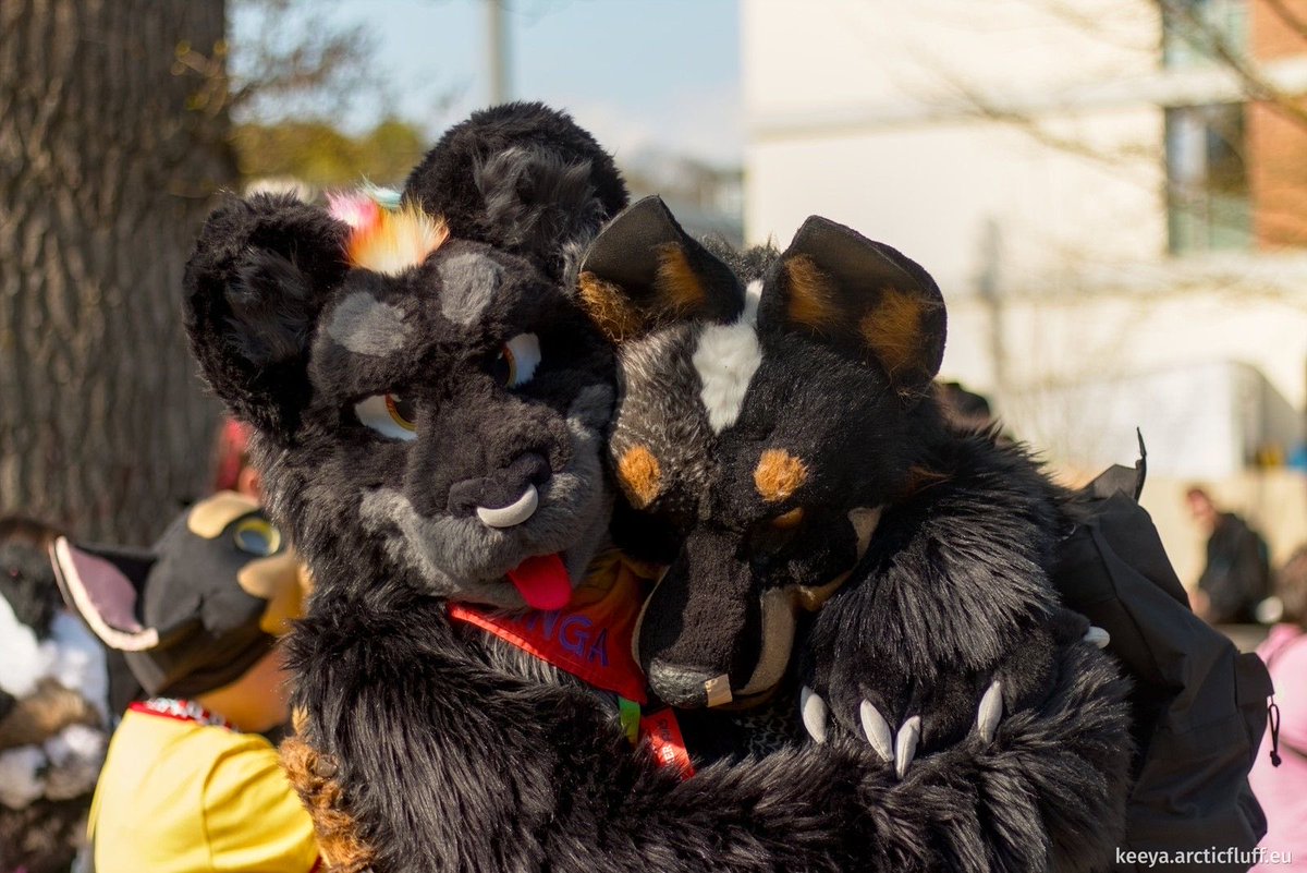 BluishGecko's tweet photo. Pinky swear, this isn't what it looks like!
OK, maybe it is: I might have nipped friend cat Kianga a bit too much, and now it's air jail time 😅

📸 Keeya
🧭 #fursuit walk #Ulm, organized by Ulmer Furs

#furry #shenanigans #FursuitFriday https://t.co/1MlMhbEpO7