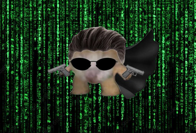 feezjam's tweet photo. Time to escape the matrix $MINI https://t.co/BKU9lmtjGY