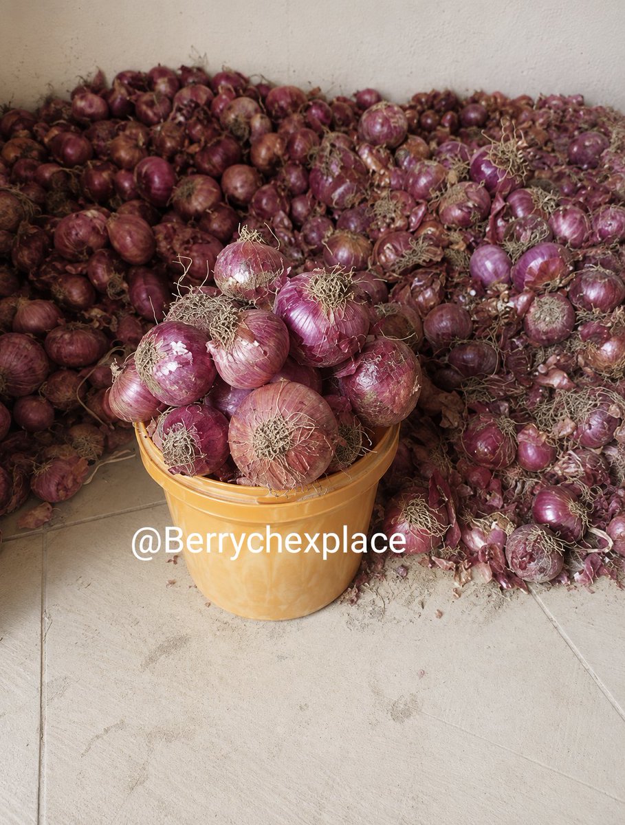Berrychexplace's tweet photo. Good evening, my amazing people ❤️
I am active and taking orders!
🌾 Honey Beans – ₦4,500 
🍠 Sweet Potatoes – ₦3,000 , Yellow Garri – ₦2,000 
🧅 Onions – ₦3,500
📍 Location: Kaduna 🚚 Nationwide delivery available https://t.co/gU7Mzb00em