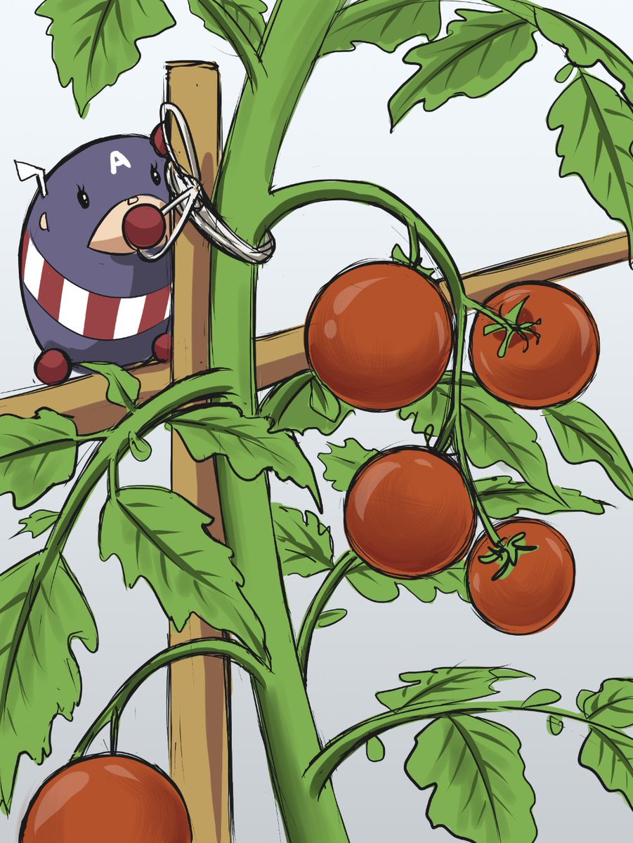 AsH3Draws's tweet photo. Tomatoes grown, too

#tsumtsum #CaptainAmerica https://t.co/U82PKoZ6rF