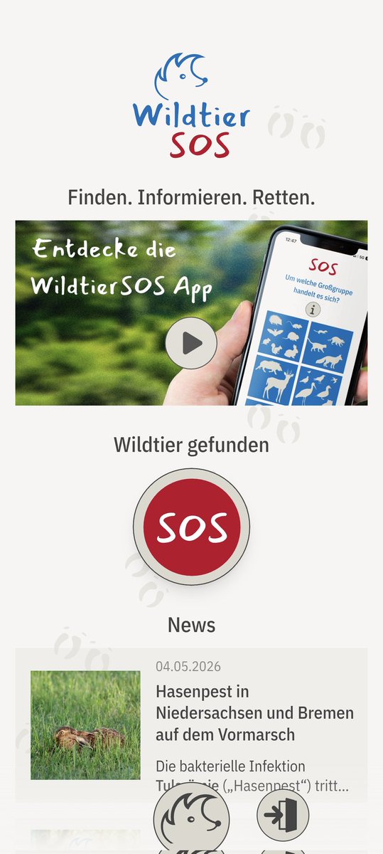 WackelLokiAlice's tweet photo. Aus gegebenem Anlass: ich habe heute mit Hilfe der Wildtier SOS! App einem Igel die passende medizinische Hilfe rausgesucht.☺️Hat super funktioniert!

Manni hatte viele Zecken, Fliegenmilben und war auch ziemlich dünn. Hab ihn per Straßenbahn zur Klinik gebracht. War spannend. 🤭 https://t.co/ArQAT45nve