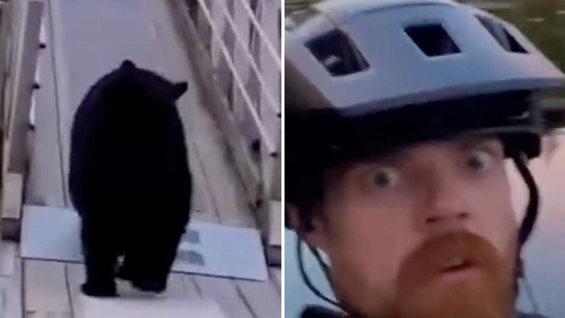Sepa_mass's tweet photo. Ciclista graba inquietante encuentro mientras disfruta de la puesta de sol

VIDEO: https://t.co/Z40E3Qu6tW https://t.co/Wb6tTAISV8