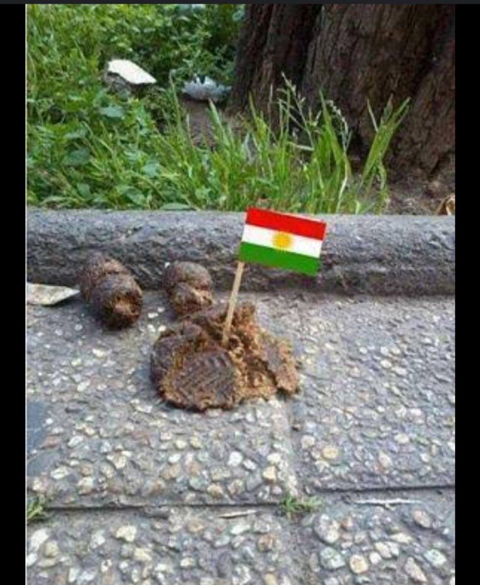 450manisa's tweet photo. @Kodyesiilmedya Bende ikaz amaçlı, gelen giden üzerine basmasın diye, bok işareti olarak kullanıyorum 👇😂 https://t.co/dOcJy73Wqy