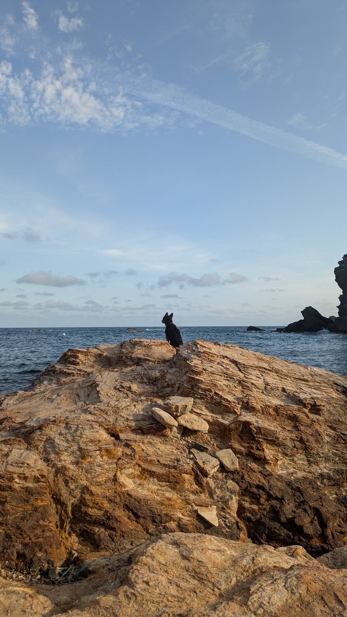 blancalso97's tweet photo. El caminante sobre el mar de nubes https://t.co/VBtPA5ZPRX