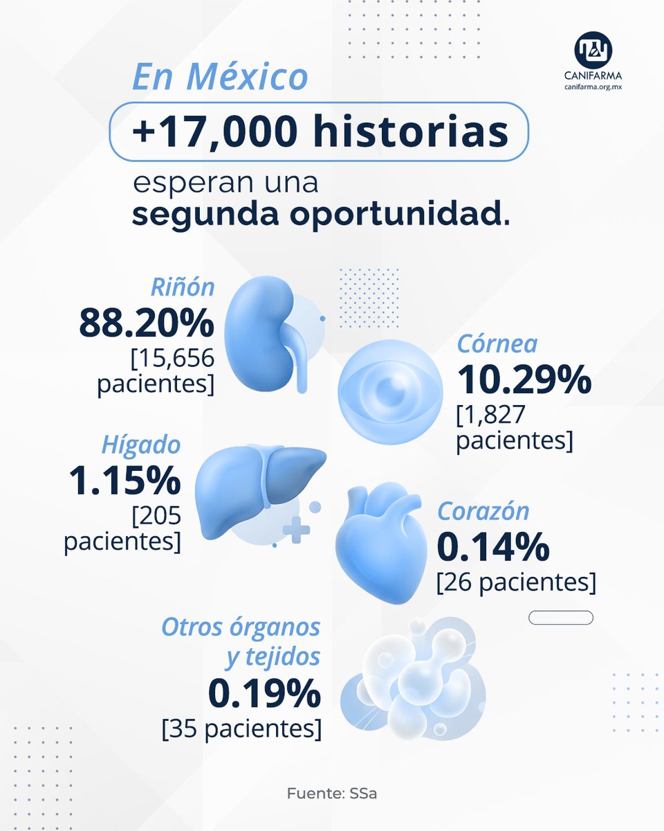 canifarma's tweet photo. El trasplante de un riñón, una córnea 👁️ o un corazón 🫀 representa un procedimiento médico, tiempo, calidad de vida y nuevas oportunidades para quienes lo necesitan.

Hoy, los trasplantes son posibles gracias a la ciencia, la coordinación del sistema de salud y, sobre todo, a la decisión de donar. 🤝

El Día Mundial de las Personas Trasplantadas, recordamos que una segunda oportunidad empieza con una conversación.

#CANIFARMAVePorTuSalud #MedicinaModerna #DonaciónDeÓrganos #Trasplantes #Salud