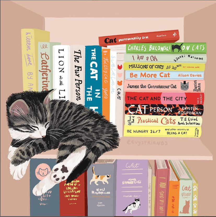 CatsShelf's tweet photo. Alissa Levy https://t.co/d0dQr4hQKg