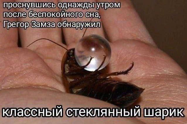 Hagnir's tweet photo. https://t.co/1REYjiZG6C