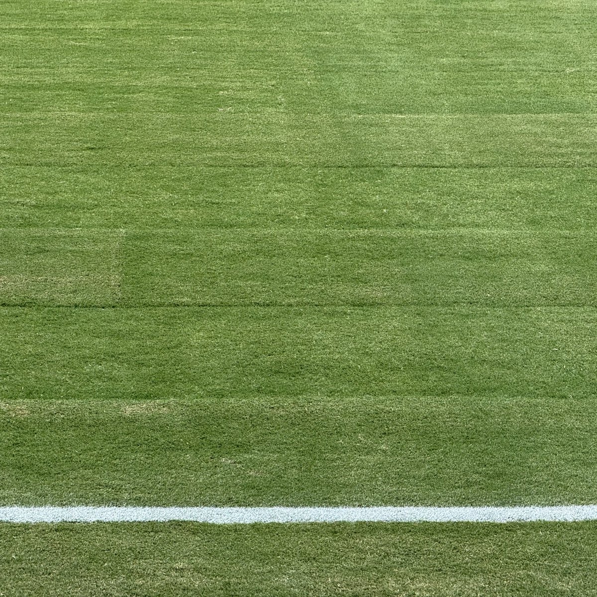 centregoals's tweet photo. 🚨🚨| This is the pitch in Tampa, Florida where England play New Zealand tonight. 

[@henrywinter] https://t.co/arGIZkTZWT