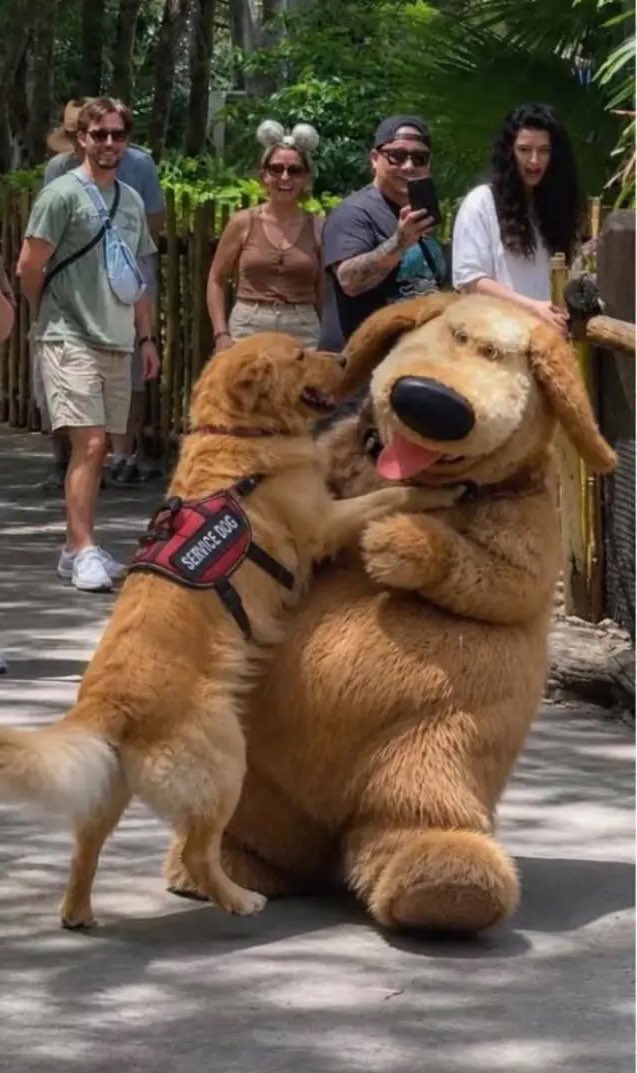 Puppieslover's tweet photo. https://t.co/l9SfRrVJa7