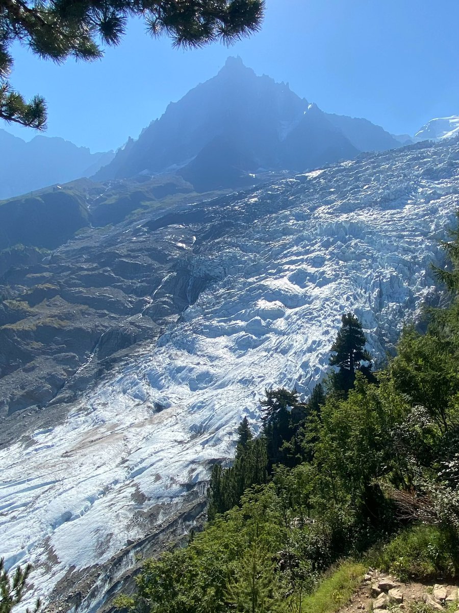 subfossilguy's tweet photo. Bossons Glacier
2022 | 2026

📷 @lomdumtblanc.bsky.social 
&amp; @LafitteGuillem https://t.co/7VjxtRCgU3