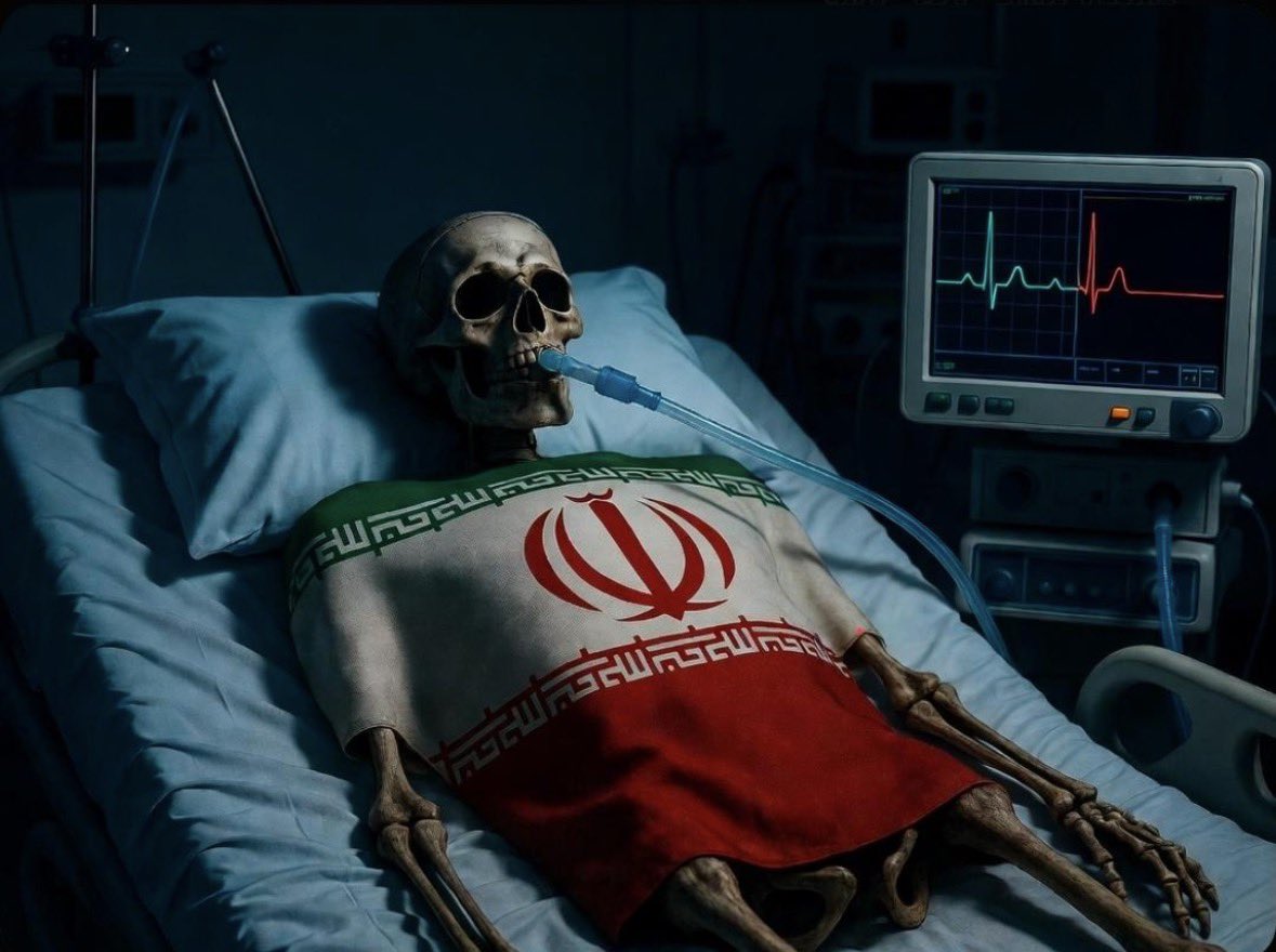 لیلا پهلوی tweet media