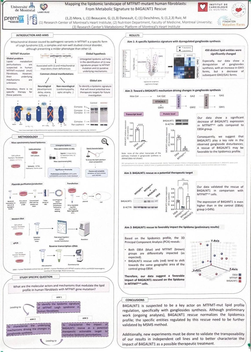 AgmAssociation's tweet photo. 📢 FIERTÉ &amp; RECONNAISSANCE 🔬

​Un immense bravo et merci à Laura Mora pour la présentation de son poster de recherche sur le syndrome de Leigh lors du congrès Euromit à Angers ! 🌟 https://t.co/BKJhkM3WPi