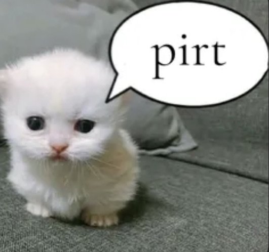 Jessbrokemyneck's tweet photo. BABY #fnfvoid https://t.co/HWgr8GYwXW