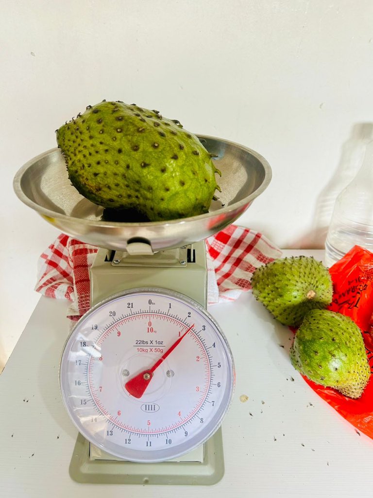 BSeventhmay's tweet photo. Our own our 1st Harvest of Sour-sop https://t.co/BEldrZpvzX step is to have a IPM/Fertigation , Irrigation, Cold chain post harvest to improve weight of fruits for different markets and value add. https://t.co/Erq5tM6KYS