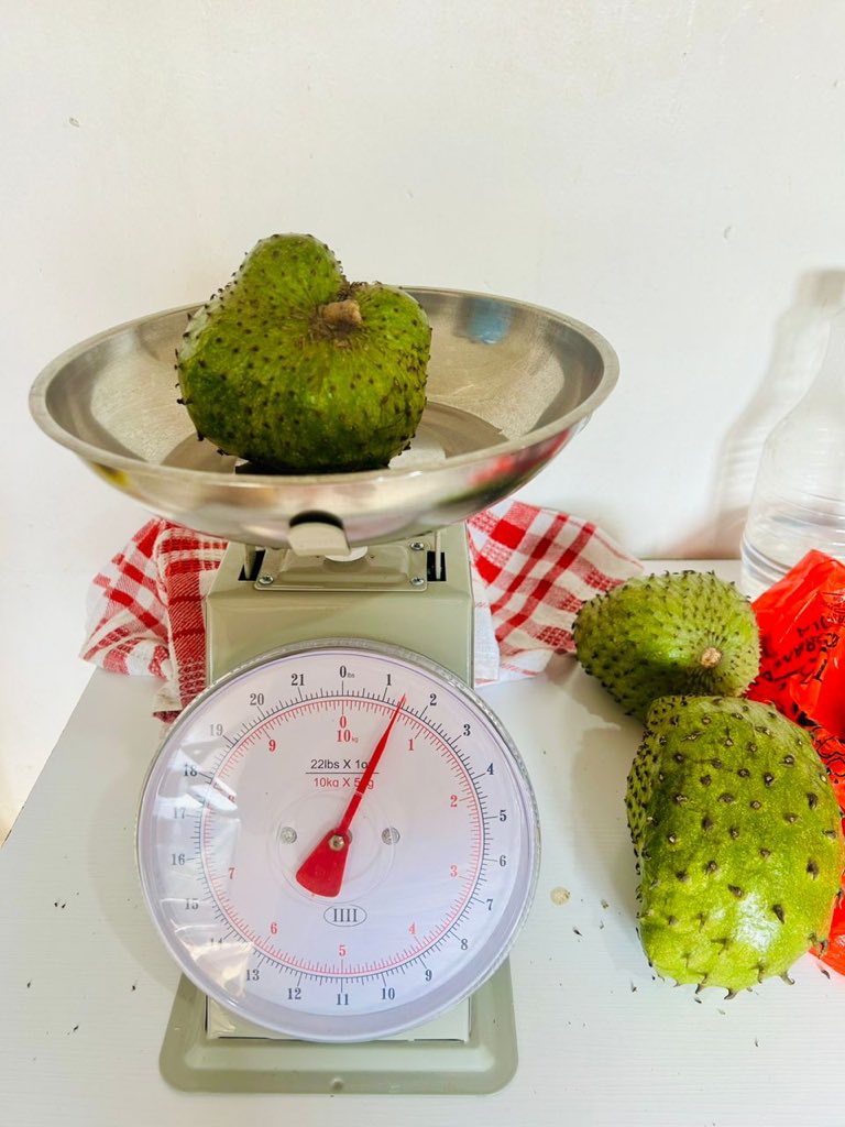 BSeventhmay's tweet photo. Our own our 1st Harvest of Sour-sop https://t.co/BEldrZpvzX step is to have a IPM/Fertigation , Irrigation, Cold chain post harvest to improve weight of fruits for different markets and value add. https://t.co/Erq5tM6KYS