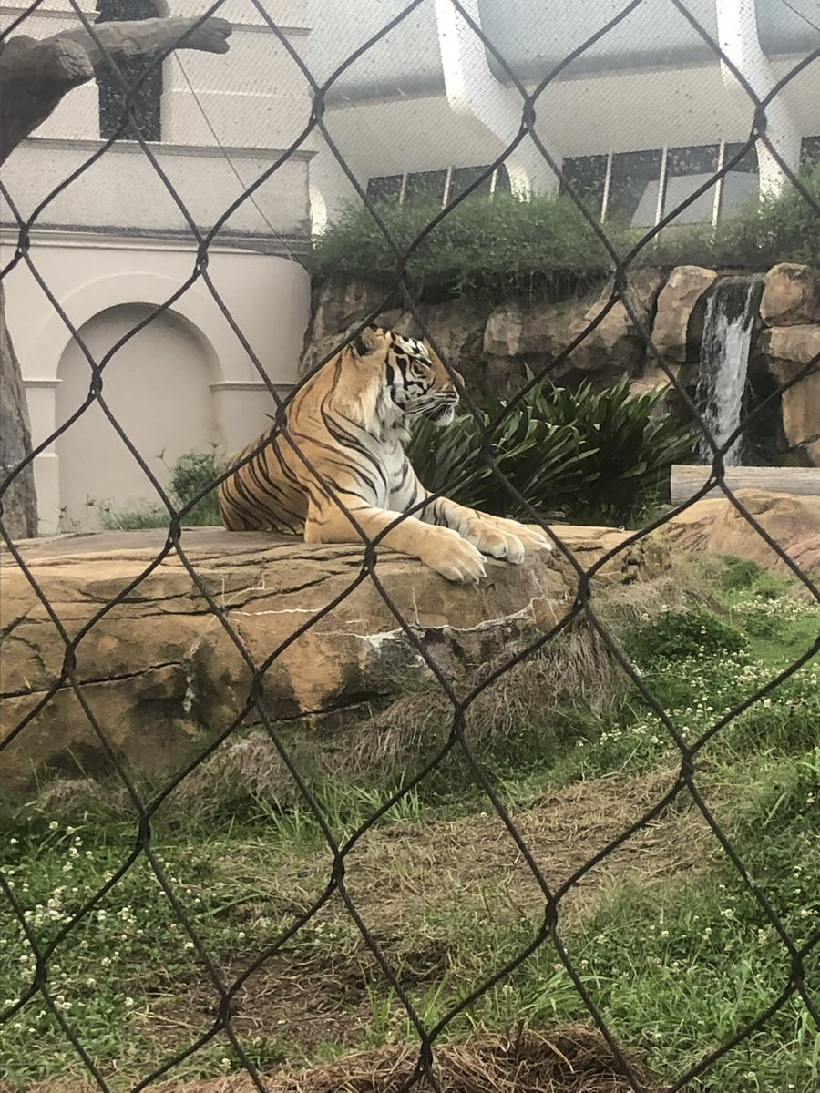 JCSlaughter77's tweet photo. Finished the week off strong at @LSUfootball OL/DL camp. Thank you to all the coaches and players who helped out.
@MocoRecruiting @MorganCounty_FB @FBCoachWolf @RecruitGeorgia @Coach_EdOrgeron https://t.co/0RannEg52u