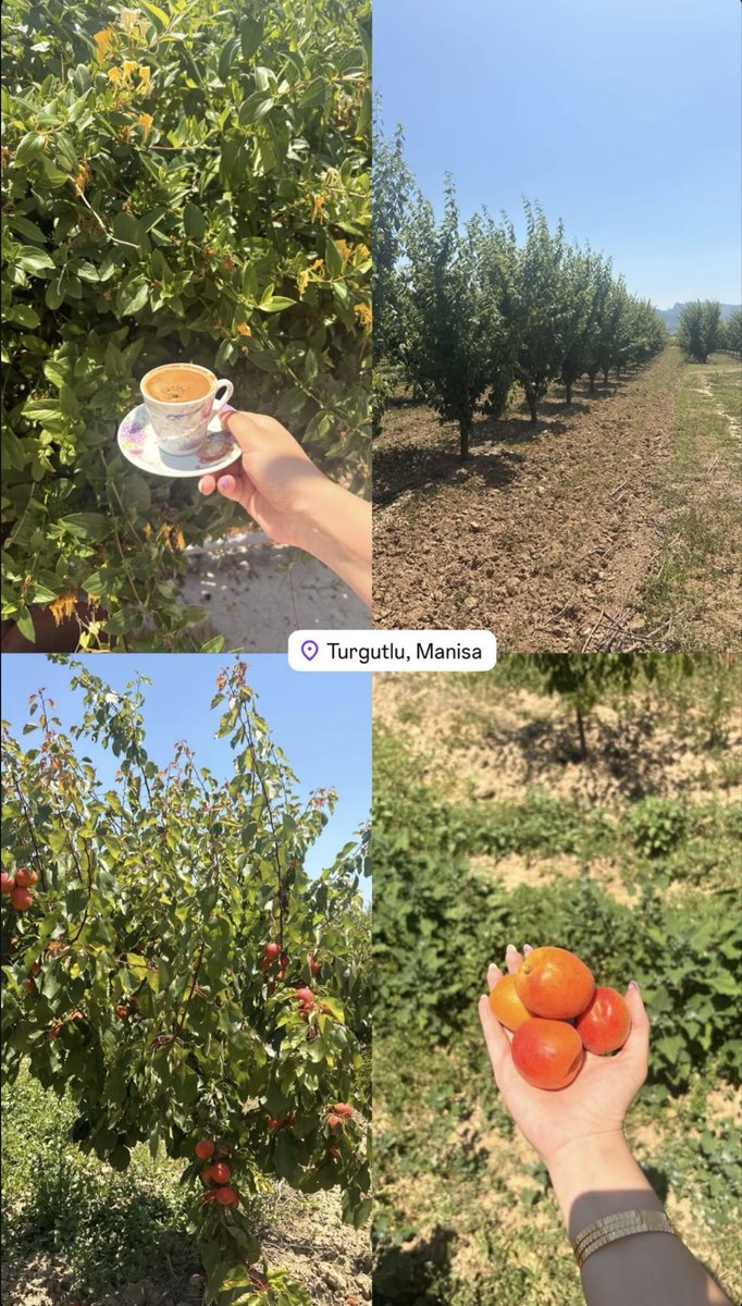 ilaydagormusss's tweet photo. Turgutlu ☀️🍀 https://t.co/PoRnB3E4ko