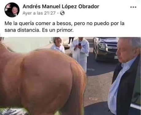 _marginales_'s tweet photo. @ibetsantz @Claudiashein Hahahaha hahahaha 

Que bueno que pones al exnarcopresidente con su novia la Canica!

Hahahaha hahahaha 

Si serás p3nd3ja!

No lo ayudes!!!

Hahahaha hahahaha hahahaha https://t.co/9wnDgxEYvs