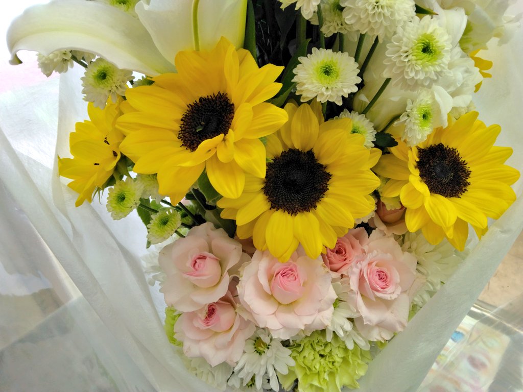 hanaclubring's tweet photo. おはようございます
サンデー朝空
今日はこの後だんだん雨模様☔day
その前に
早朝リハビリラン10㎞走へ
いざ!🏃
しっかりデトックスランして
サンデー日曜業務START
リハビリ＆お仕事
今日も1日頑張ります
（＾・＾）
#リハビリ
#デトックス
#朝ラン
#ランニング
#ヒマ��リ🌻 https://t.co/SZa4p8LRUc