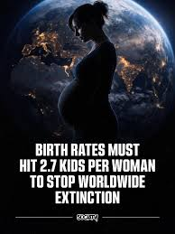 World_Warrior's tweet photo. Yes, concerns about declining fertility are valid. But humanity isn't disappearing because people suddenly stopped wanting children. The real fertility crisis isn't biological, it's economic. People still want families; fewer can afford to build one. When housing, healthcare, education, and financial stability feel out of reach, having children becomes a luxury rather than a life choice.