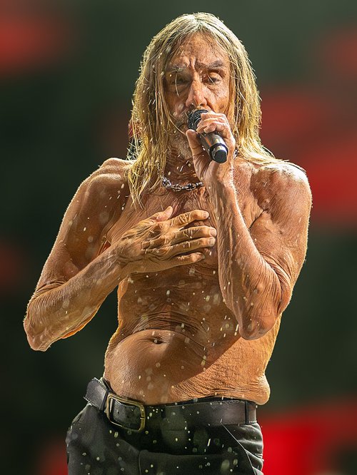 Barnabybear70's tweet photo. @BowesChay Iggy pop didn't half as much criticism https://t.co/2XYPcagW5Q