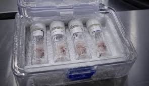 Renata350698471's tweet photo. Los transportaba un ciudadano israelí de 24 años.Los embriones estaban ocultos en la maleta resguardados dentro de tubos de ensayo en un contenedor o tanque especial diseñado para preservar material biológico. https://t.co/fpIdRdzLRg
