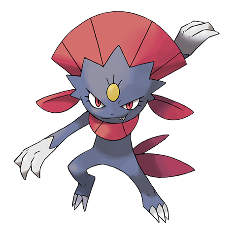 tierrlisters's tweet photo. drifter - weavile https://t.co/D3O33pD68N