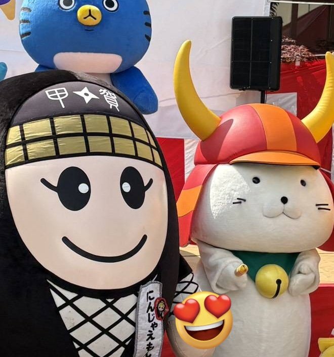 ninja_emon's tweet photo. ひこにゃん殿が、のびのび棒で楽しそうに遊んでくれてたんでござる✨

悪にゃんこ将軍とこにゃんちゃんも欲しいの！？💦
また今度ねーー😜 https://t.co/RSSbKuKvrF