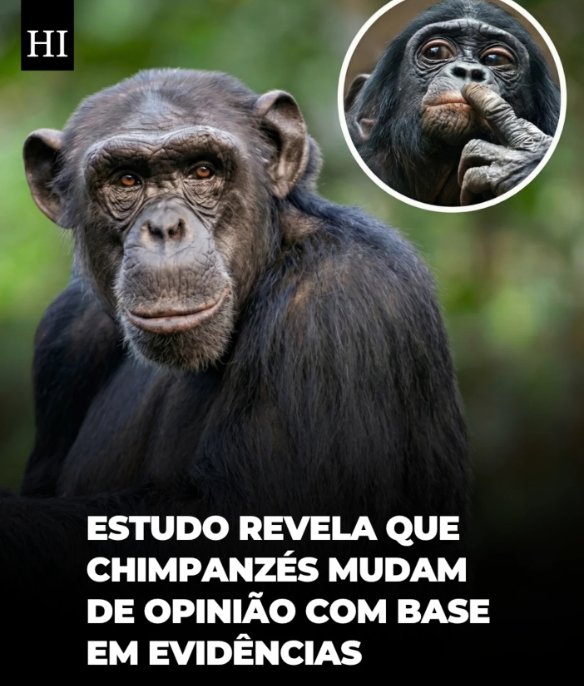 JBerkovick's tweet photo. @SayonaraMa3888 @digger66371 @Cruzdosul05 @CazadorPe @heuseriano Ficou até em sem palavras depois disso, metade do que você escreve está errado. 
Seu nível de escolaridade não è tão bom quanto você pensa ser. 🤯 https://t.co/13gj3IIPyo