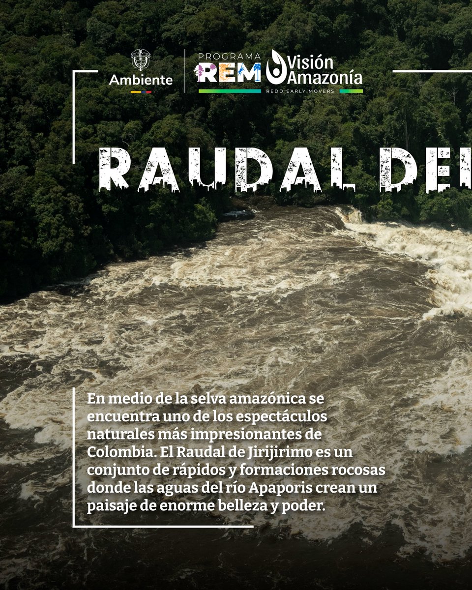 VisionAmazonia's tweet photo. 💧 Entre enormes rocas y la fuerza de la naturaleza se esconde uno de los paisajes más impresionantes de la Amazonía colombiana.

El Raudal de Jirijirimo es una joya poco conocida que demuestra la grandeza de nuestros ríos y bosques.

#AmazoníaColombiana #Jirijirimo https://t.co/YIqzUACaVx