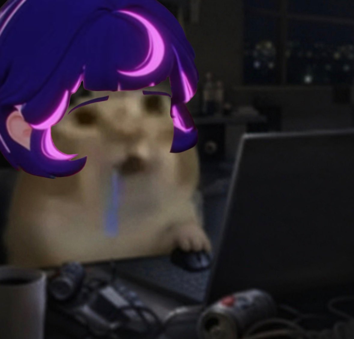 FrampVT's tweet photo. me logging in every day as a silly juno main https://t.co/P4HOup3jea