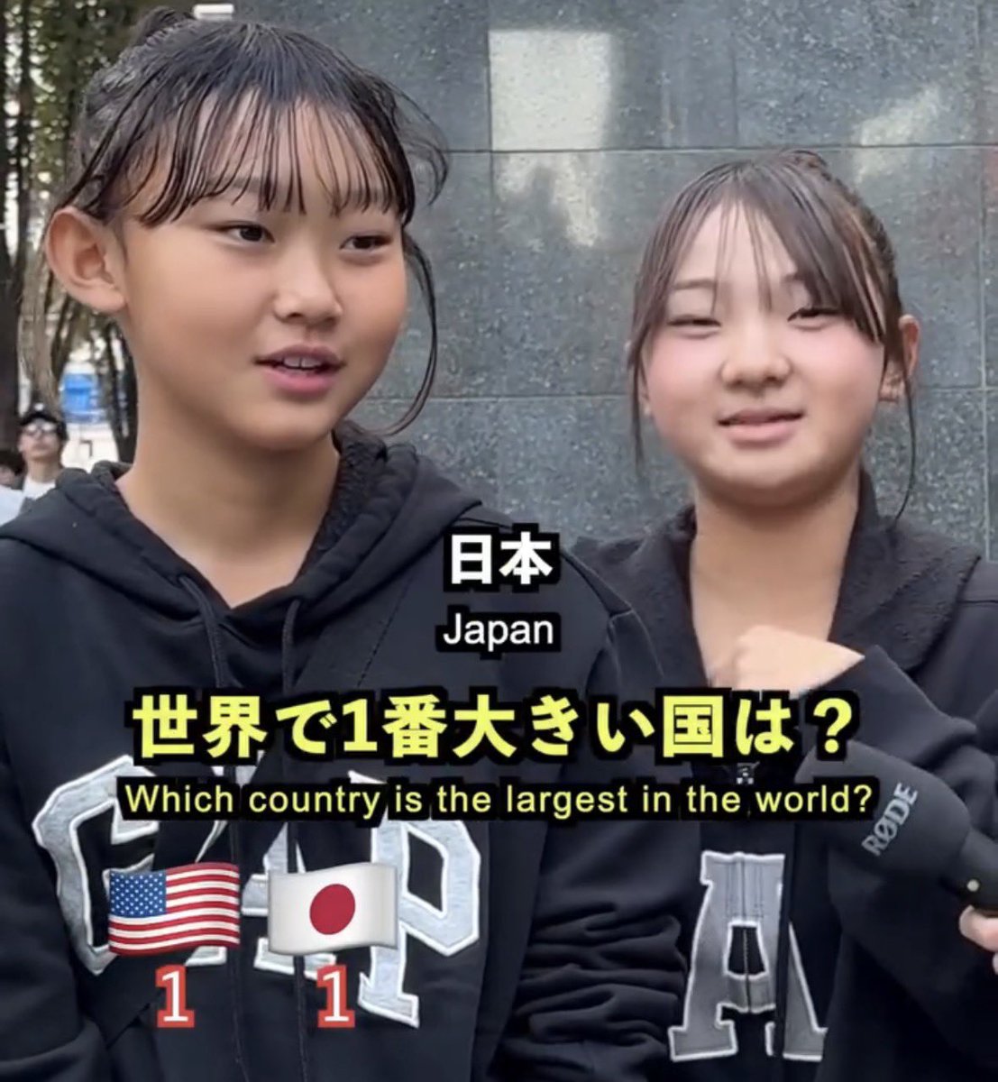 ネットのホンモノ図鑑 tweet media