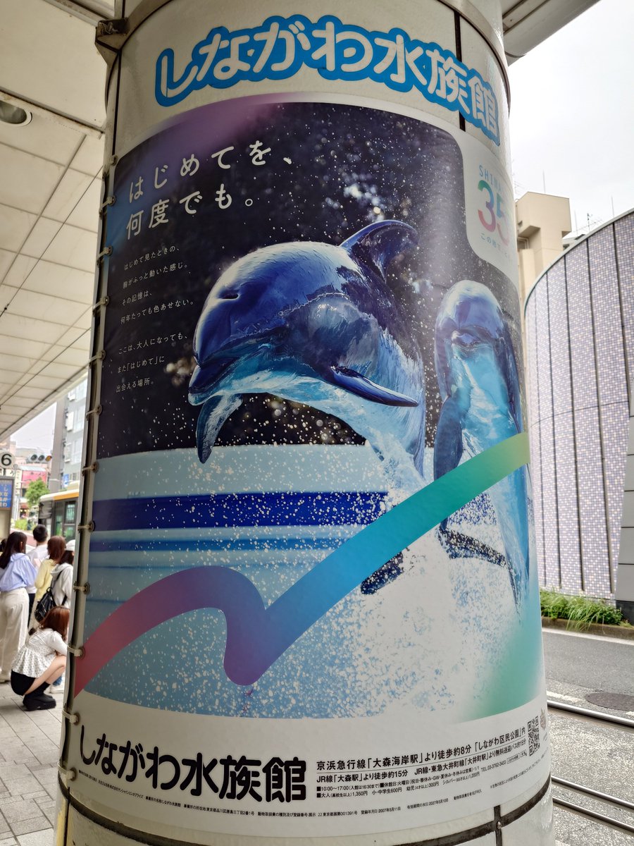 Post by keiko♂ on X: 今日はここへ