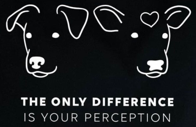veganfuture's tweet photo. https://t.co/uZ74GAYrap