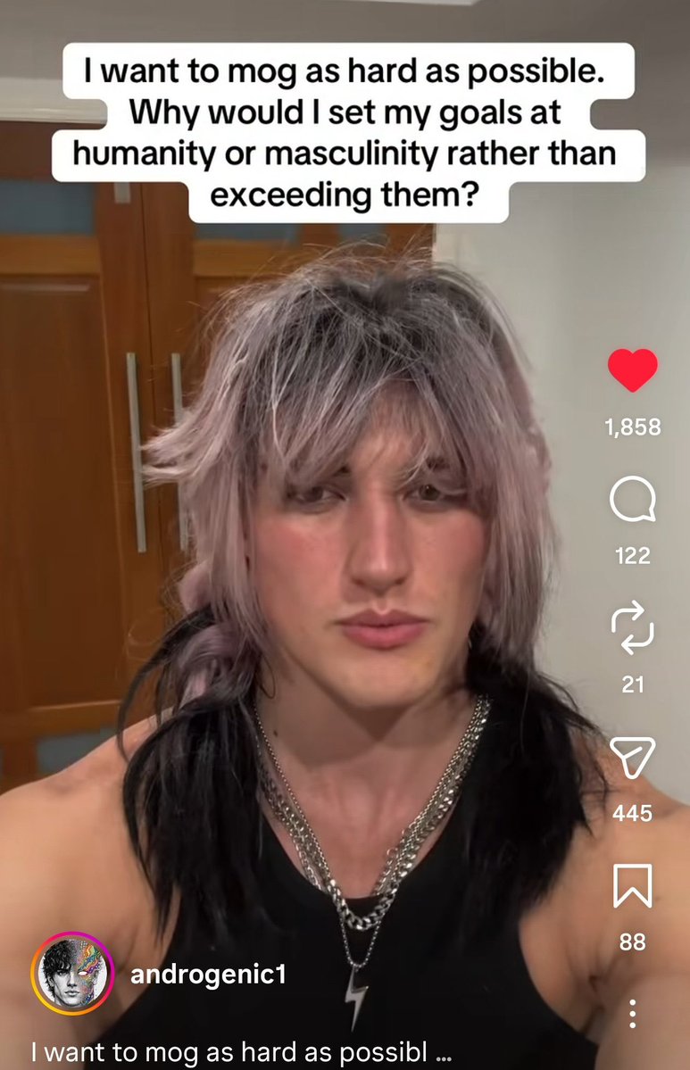 C4RM1LLA's tweet photo. issuing an official apology to androgenic: i didn’t understand your mewing was actually transhumanist praxis. carry on brave angel. i’ll meet you in the future. https://t.co/KnSTcX8nQ1