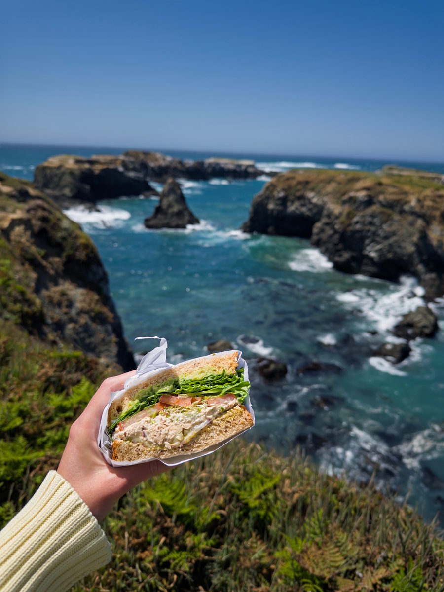 khloyakafe's tweet photo. 10/10 sandwich spot https://t.co/ibFk6diCcr