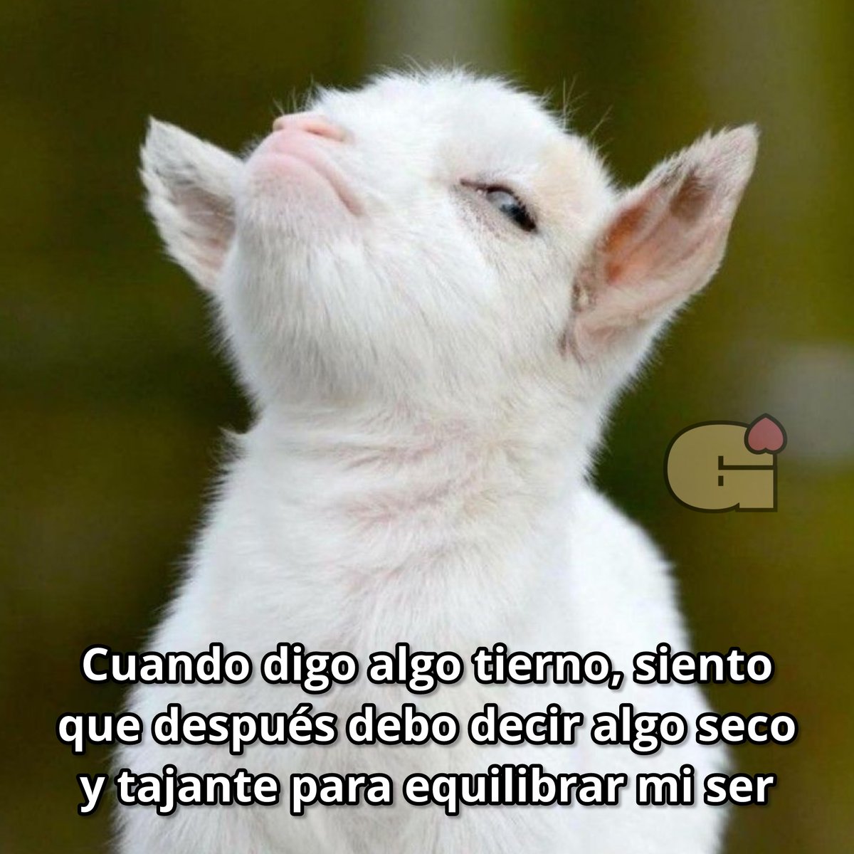 Guarromantico_'s tweet photo. Efectivamente. https://t.co/qvJ1GLRp2l