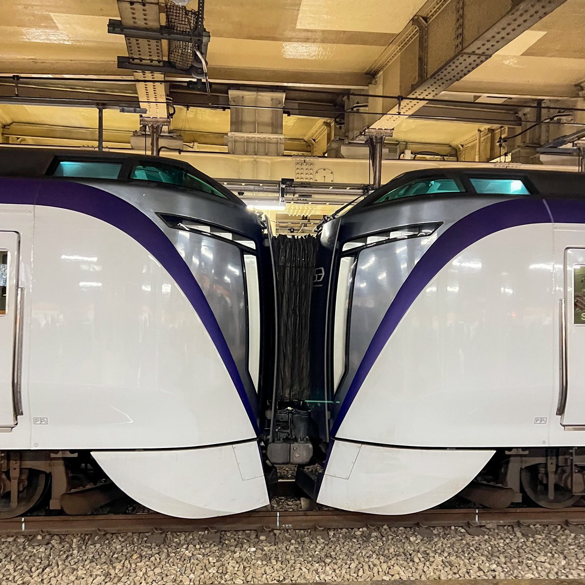 nosukegrant's tweet photo. たまーに
競パン（しかもケツ）に見えるときない？
E353系 https://t.co/mOp1FH0vYy