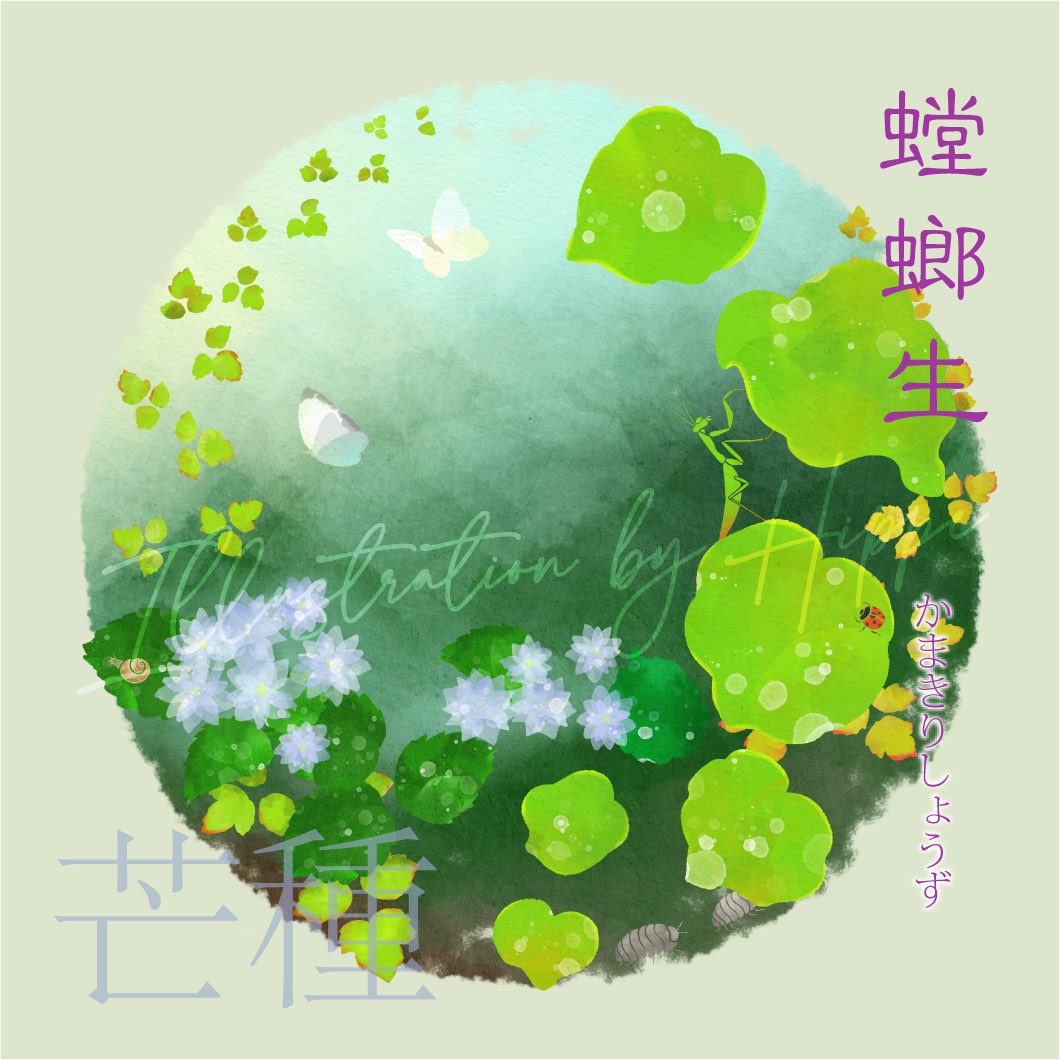 hippe_ala's tweet photo. #七十二候 は #かまきりしょうず の季節にはいってます。
#イラスト #オリジナルイラスト https://t.co/yIQOgAonls