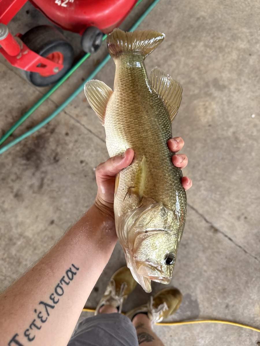 AUSTINtheCLARK's tweet photo. Me catch fish https://t.co/r9u9U6DRor