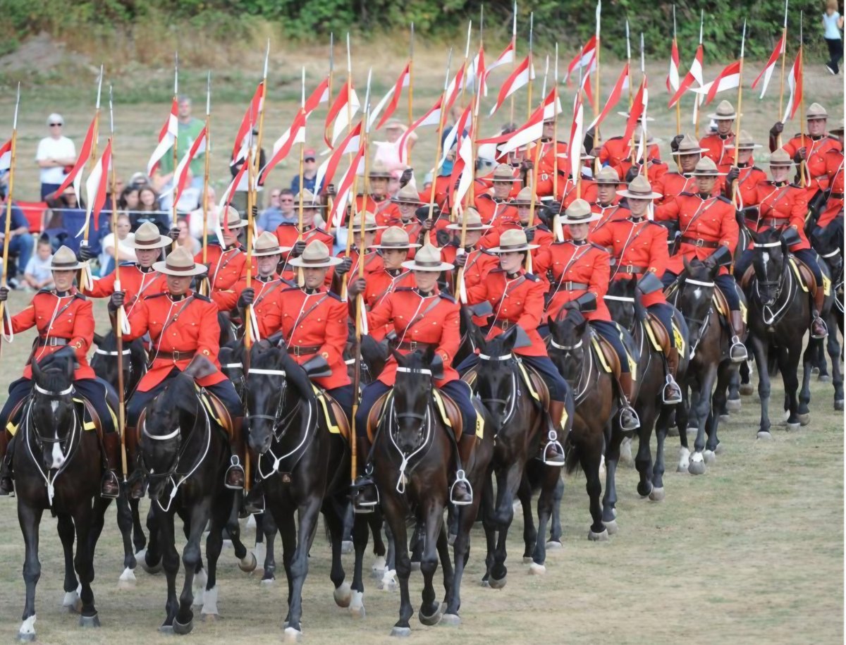 AdamPalmerRCMP's tweet photo. Happy #NationalHorseDay!

#RCMP #MusicalRide https://t.co/Aq0VFd2QrE