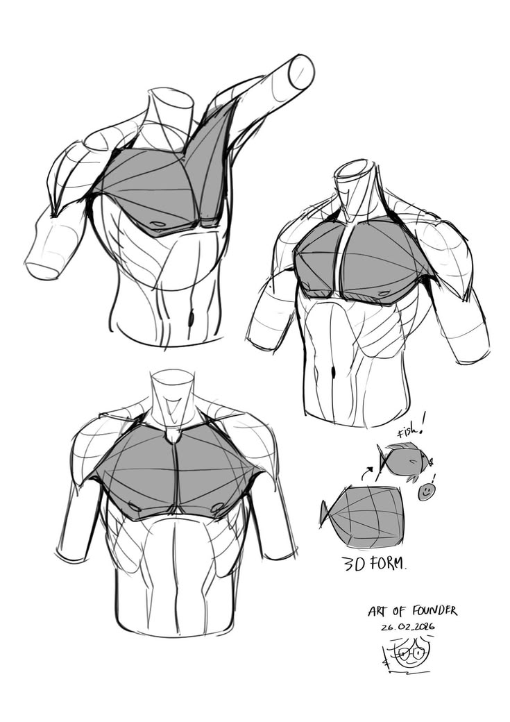 sodaguyx's tweet photo. 3D form of the chest https://t.co/cU7tLTlgIw