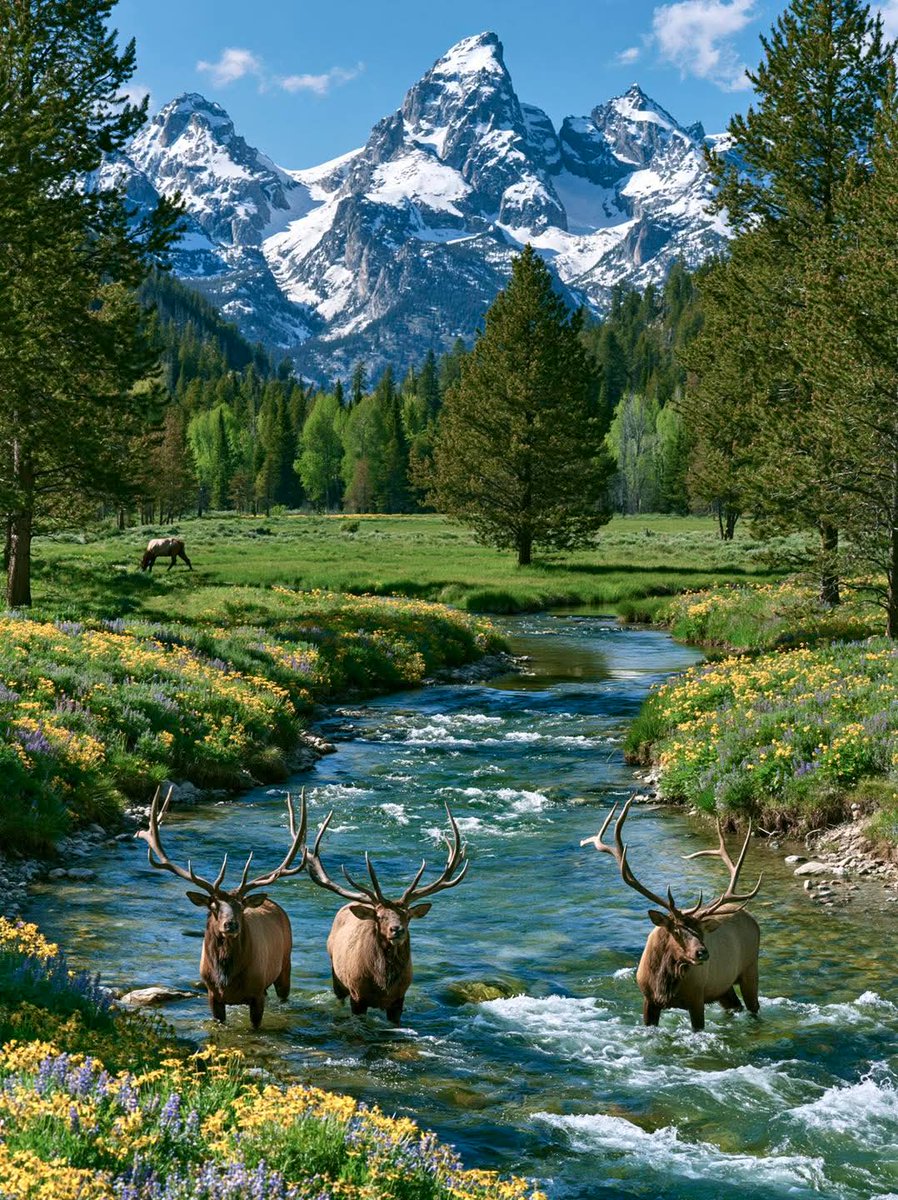 worldclick56's tweet photo. Grand Teton, Wyoming 🇺🇲 https://t.co/FppYCURv7H