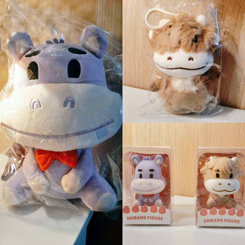 mintelladarling's tweet photo. Been so busy offline, forgot to post– Hamang and Somang arrived on Thursday 🥰💜🤎

#유회승 #YooHweSeung #하마
#하루의마무리 #NFlying #엔플라잉 https://t.co/Ux01voY7y0