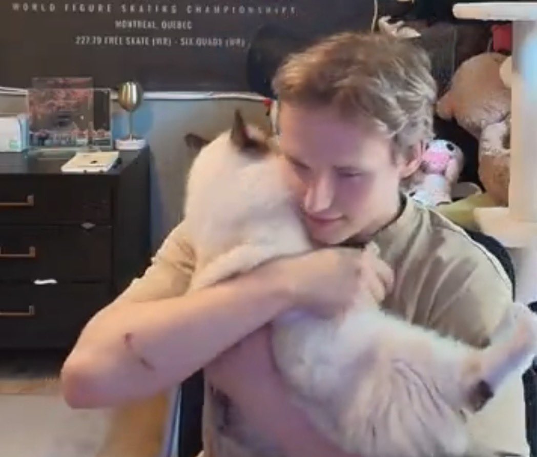 ingaranda_'s tweet photo. i’m sorry Mr. Quad Cat Dad, but, wtf is that on your arm??!!

how did u get it?! https://t.co/JnNur7fT6w