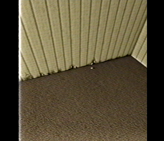 BigmanIThink's tweet photo. If you're not careful and you noclip out of reality in the wrong areas, you'll end up in the Backrooms, where it's nothing but the stink of old moist carpet, the madness of mono-yellow, and the endless background noise of fluorescent lights at maximum hum-buzz. https://t.co/jKNeGAOg98