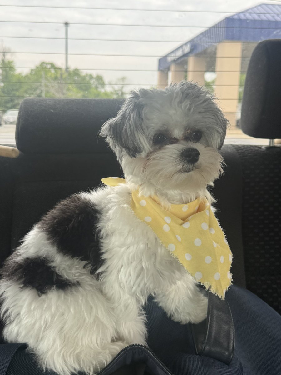 missingyou37's tweet photo. #Agnes https://t.co/JAr6X1h70L